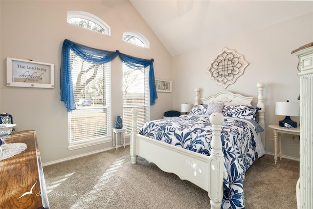 1426 Lakeview Rd, Abilene, TX 79602 - carpeted bedroom with baseboards and high vaulted ceiling