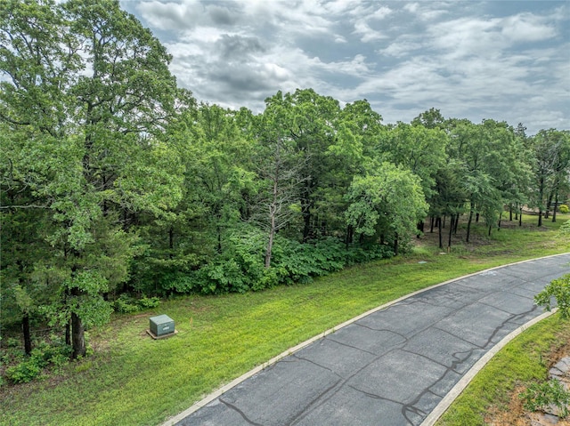 TBD Dove Canyon Dr, Gordonville, TX 76245