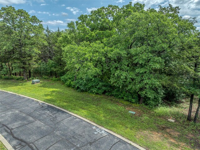 TBD Dove Canyon Dr, Gordonville, TX 76245