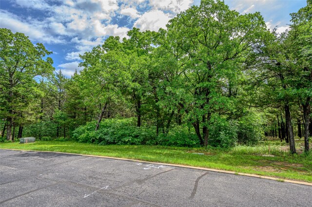 TBD Dove Canyon Dr, Gordonville, TX 76245