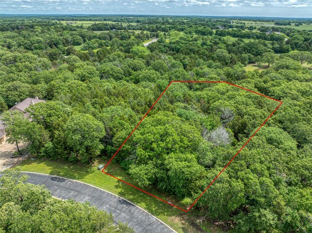 TBD Dove Canyon Dr, Gordonville, TX 76245