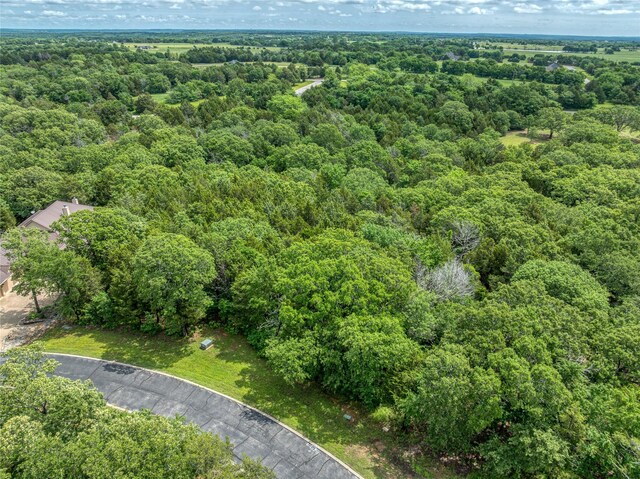 TBD Dove Canyon Dr, Gordonville, TX 76245
