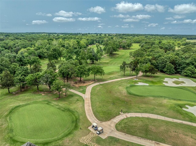TBD Dove Canyon Dr, Gordonville, TX 76245