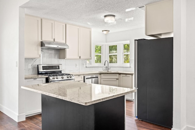 3005 Club Hill Dr, Garland, TX 75043 - kitchen with under cabinet range hood, stainless steel appliances, dark wood-type flooring, and a sink