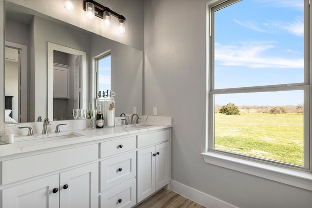 bathroom with double vanity, wood finished floors, baseboards, and a sink