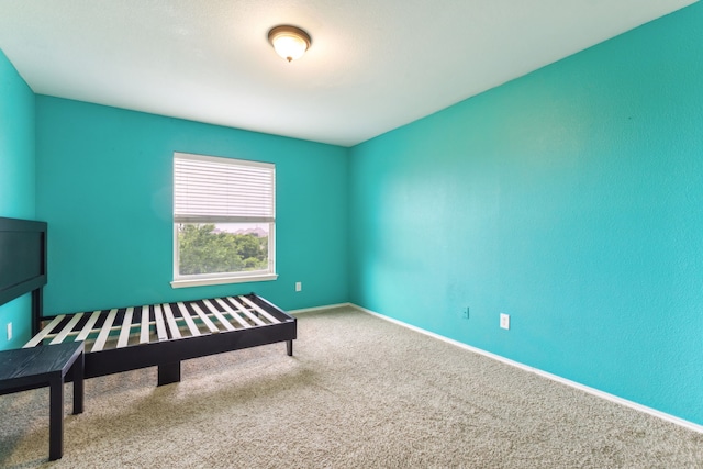 interior space featuring baseboards and carpet