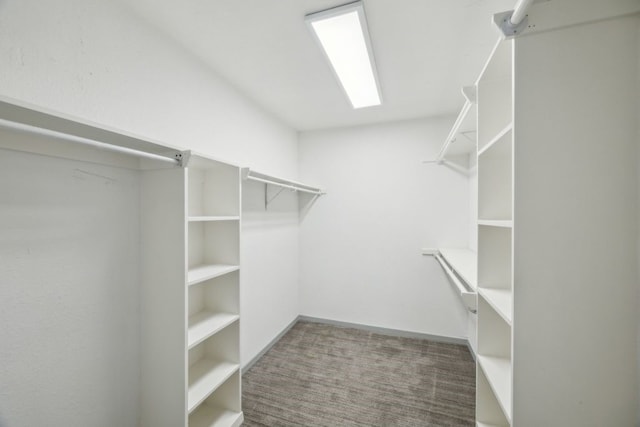 4108 Desert Garden Dr, Plano, TX 75093 - spacious closet with carpet floors