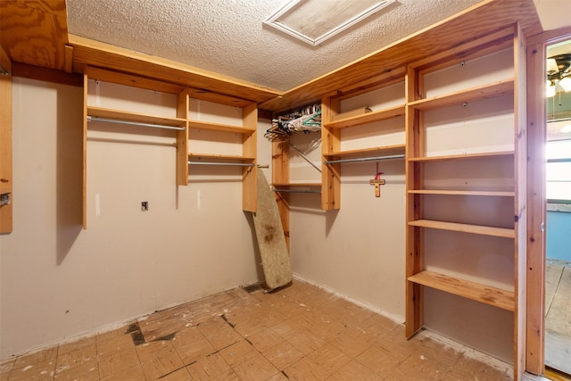 walk in closet with light floors