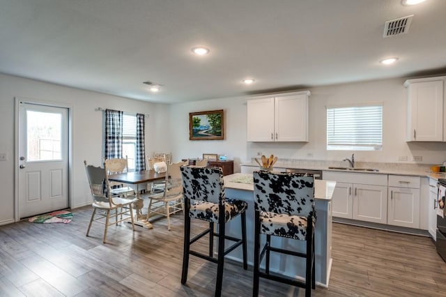 528 Lake Erie Dr, Princeton, TX 75407 - kitchen with light countertops, visible vents, white cabinets, dark wood finished floors, and a sink