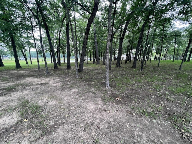164 Saint Andrews Dr, Mabank, TX 75156