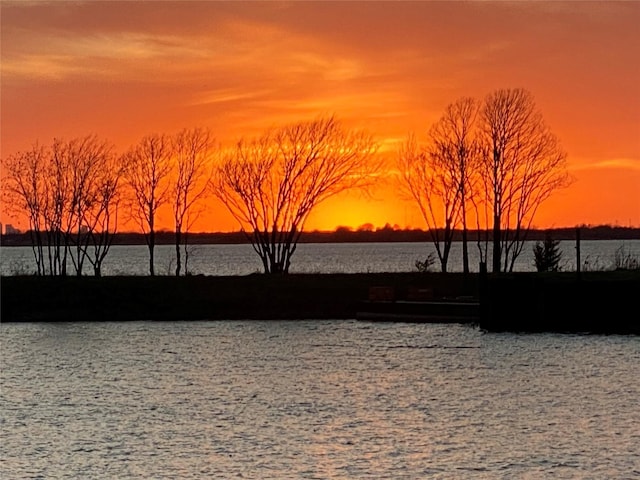 property view of water