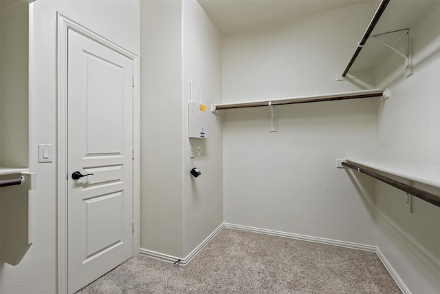 1305 Greenrock Ct, Midlothian, TX 76065 - walk in closet with light carpet