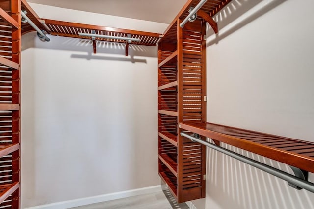 4428 Private Rd Unit 5216, Princeton, TX 75407 - walk in closet with wood finished floors