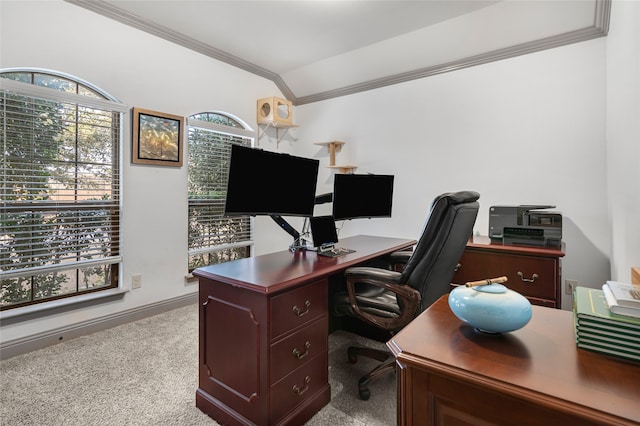 carpeted office with crown molding and baseboards