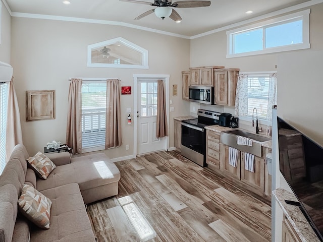 6400 Peninsula Rd, Kerens, TX 75144 - kitchen featuring a sink, stainless steel appliances, crown molding, a healthy amount of sunlight, and ceiling fan