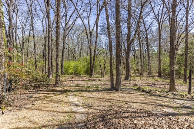 view of local wilderness with a forest view
