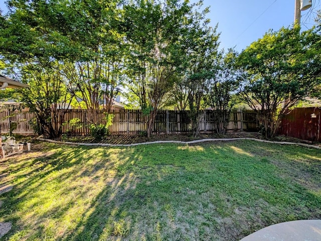 1231 Radisson Dr, Hewitt, TX 76643 - view of yard