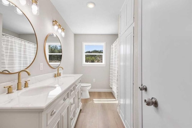 bathroom with a sink, toilet, wood finished floors, and double vanity