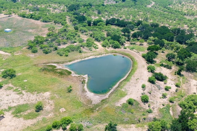 4172 Fm 2131, Coleman, TX 76834