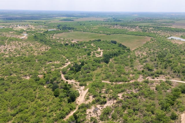 4172 Fm 2131, Coleman, TX 76834