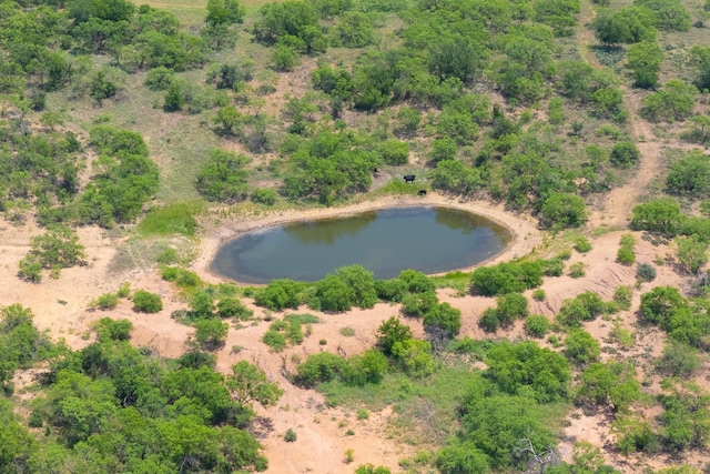 4172 Fm 2131, Coleman, TX 76834