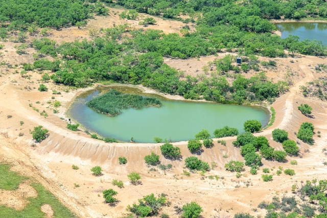 4172 Fm 2131, Coleman, TX 76834