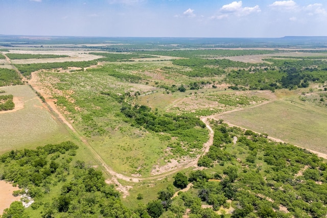 4172 Fm 2131, Coleman, TX 76834