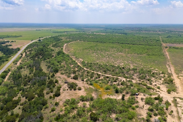 4172 Fm 2131, Coleman, TX 76834