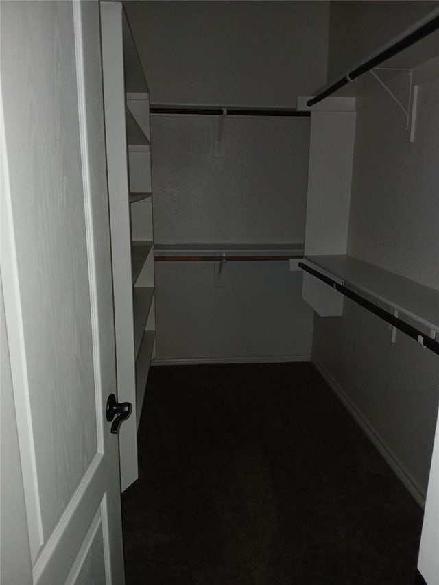 308 Adobe Lilly Ct, Mansfield, TX 76063 - walk in closet with dark colored carpet