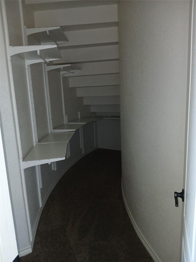 308 Adobe Lilly Ct, Mansfield, TX 76063 - view of spacious closet