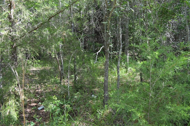 760 Vz County Rd Unit 2315, Eustace, TX 75124