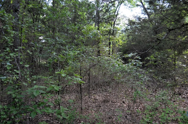 760 Vz County Rd Unit 2315, Eustace, TX 75124