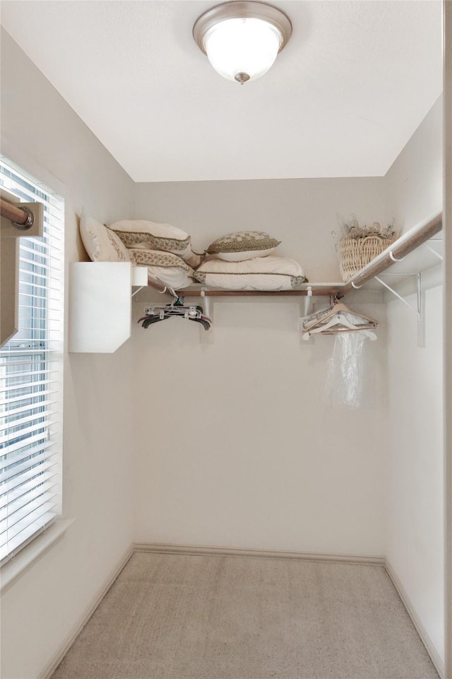 spacious closet featuring light carpet