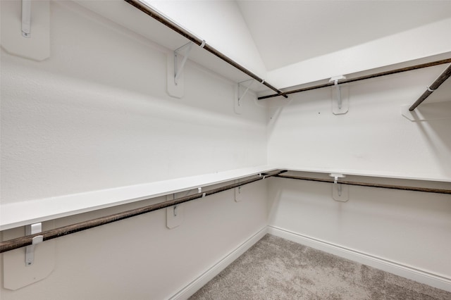 9600 Blue Stem Ln, Little Elm, TX 75068 - walk in closet with light colored carpet