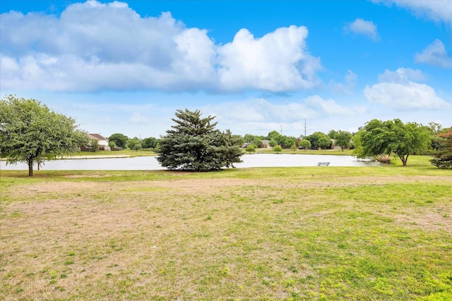 11709 Netleaf Ln, Fort Worth, TX 76244 - view of yard featuring a water view