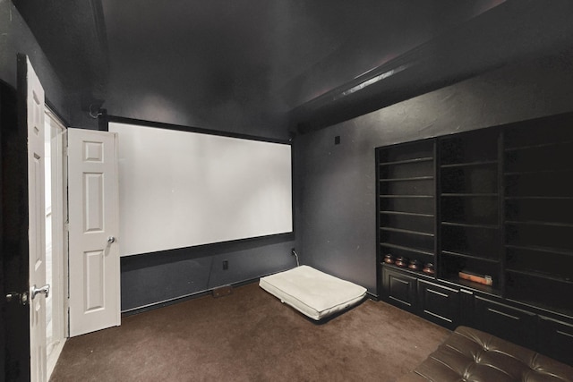 1312 Cattle Crossing Dr, Fort Worth, TX 76131 - view of carpeted home theater room