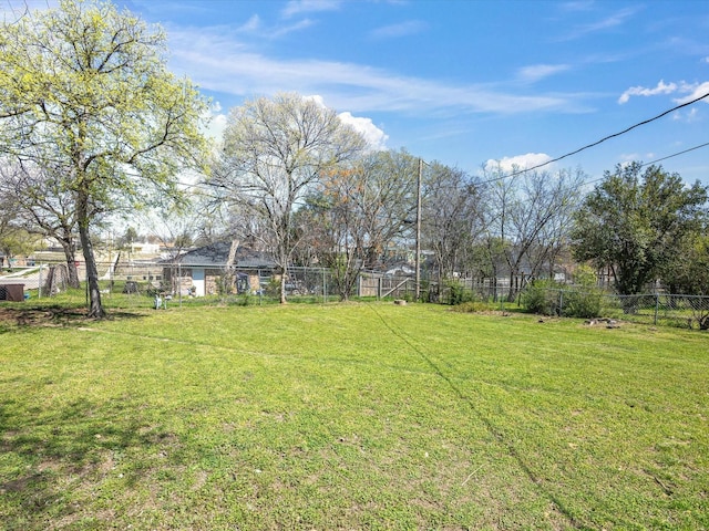 5536 Goodman Ave, Fort Worth, TX 76107 - view of yard