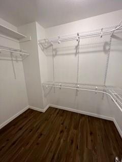 6904 Glenwood Dr, North Richland Hills, TX 76182 - walk in closet with wood finished floors