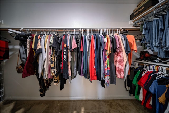 spacious closet featuring carpet floors