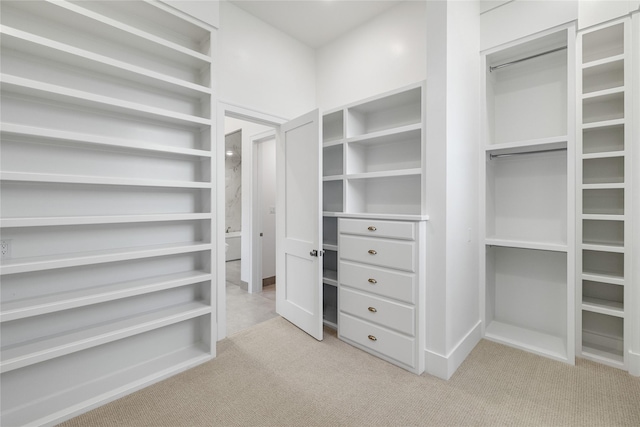 walk in closet with light colored carpet