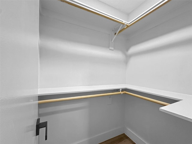 spacious closet featuring dark wood-style floors