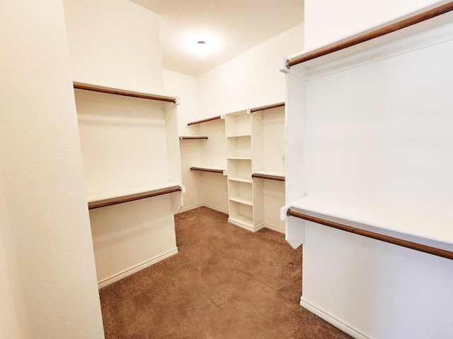 walk in closet featuring carpet flooring