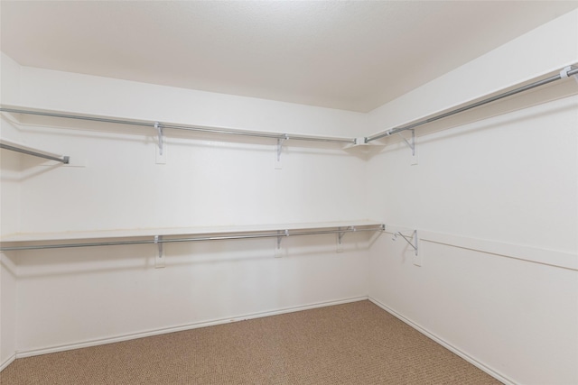 1032 Bending Oak Dr, Cedar Hill, TX 75104 - walk in closet featuring light carpet
