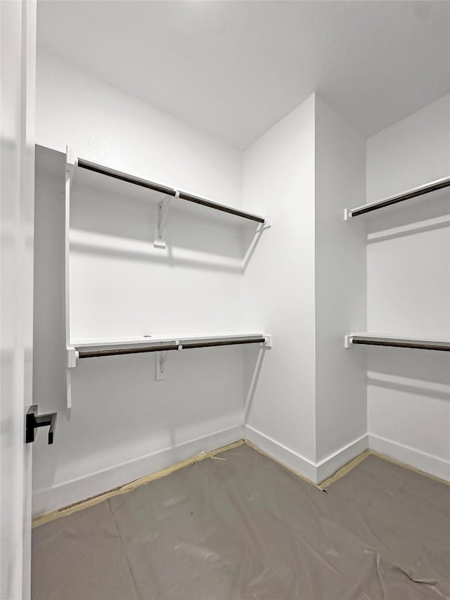 view of spacious closet