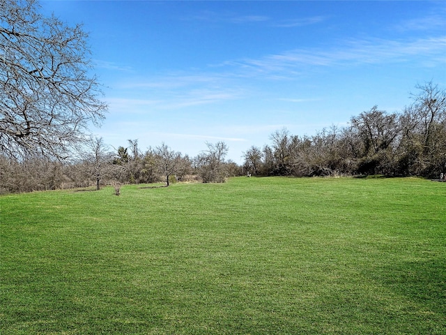 1791 County Road 3855, Poolville, TX 76487 - view of green lawn