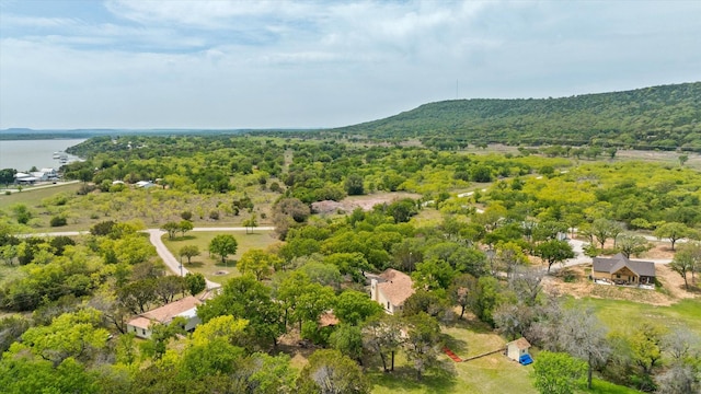 251 Dunn Dr, Palo Pinto, TX 76484 - drone / aerial view of a large body of water
