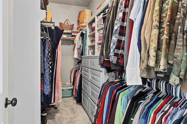 3032 Sagefield Ln, Haughton, LA 71037 - walk in closet featuring carpet floors