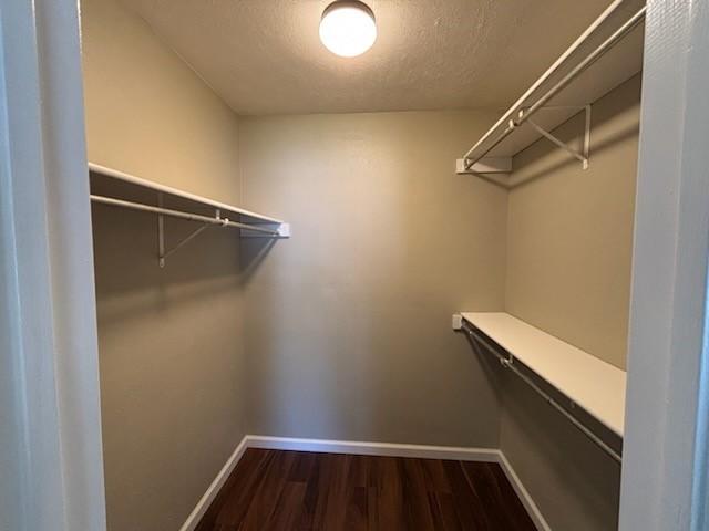128 W Way Dr, Allen, TX 75002 - walk in closet with dark wood finished floors