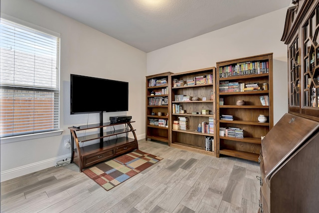 304 Welch Folly Ln, Aledo, TX 76008 - living area featuring baseboards, light wood-type flooring, and plenty of natural light