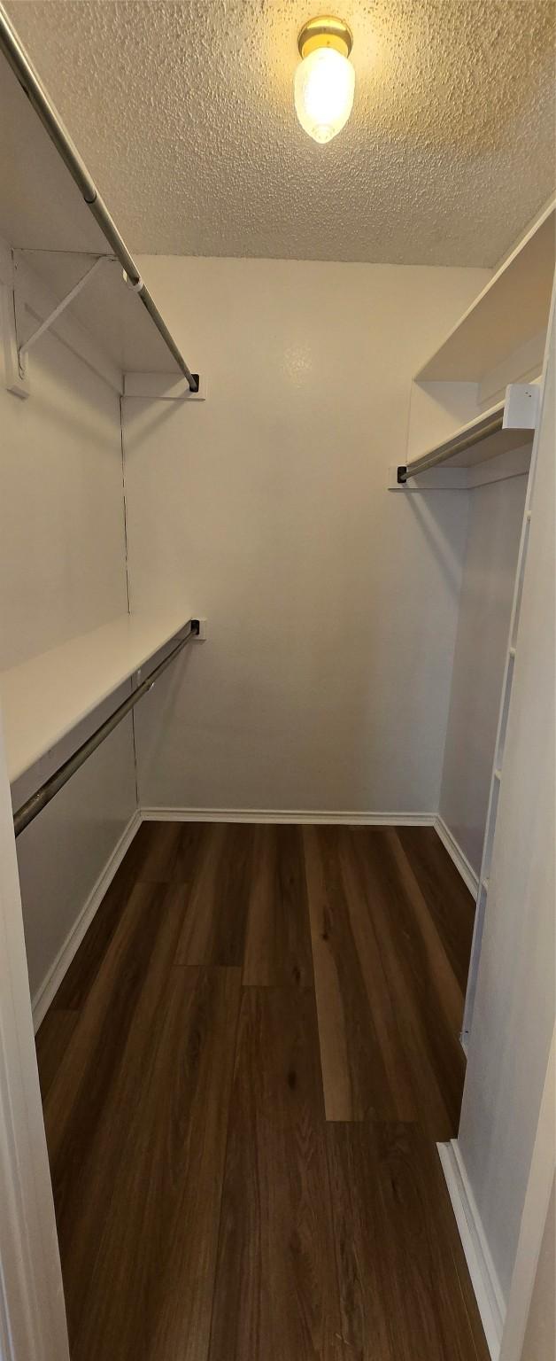 spacious closet featuring dark wood-style floors